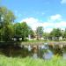 Staw in Lębork city