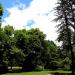 Teren piknikowy (pl) in Warsaw city