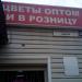 Магазин «Цветочная база» (ru) в місті Дєдовськ
