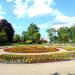 Gazon kwiatowy in Wejherowo city