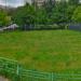 Газон в городе Москва