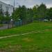 Газон в городе Москва