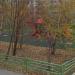 Детскaя площадкa в городе Москва