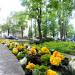 Skwer im. Księdza Władysława Szymanowskiego (pl) in Sopot city