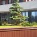 Внутренний двор жилого комплекса в городе Москва