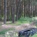 Площадка для воркаута в городе Павловский Посад