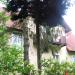 Dom Ludwiga Heidingsfelda (pl) in Sopot city