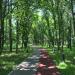Дендропарк в городе Москва
