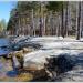 Основной пляж в городе Екатеринбург