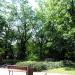 Park (pl) in Warsaw city