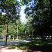 Park (pl) in Warsaw city