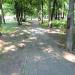 Park (pl) in Warsaw city