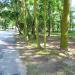 Park (pl) in Warsaw city