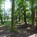 Park (pl) in Warsaw city