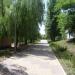 Дерева (uk) в городе Славянск