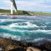 Saltstraumen