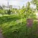 Аллея Дружбы в городе Коломна