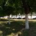 Lawn in Homieĺ city