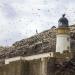 Bass Rock Lighthouse