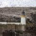 Bass Rock Lighthouse