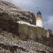 Bass Rock Lighthouse