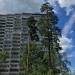 Зеленоград, корпус 1002 в городе Москва