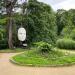 Siberian larch (Larix sibirica) planted by Peter the Great