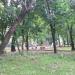 Детская игровая площадка в городе Москва