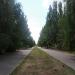 Клумба в городе Славянск