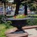 Flower bed in Homieĺ city
