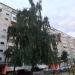 Вознесенская ул., 36 в городе Йошкар-Ола