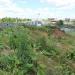 Рекультивированный отвал грунта в городе Тверь