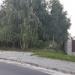 Озеленённая территория в городе Пинск