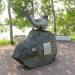 Скульптура «Ларга» в городе Петропавловск-Камчатский