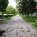Растительность (ru) in Zhytomyr city