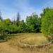 Дендропарк (tree nursery)