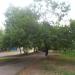 Сквер (uk) в городе Славянск