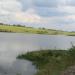 Pond