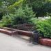 Bench in Homieĺ city