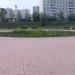Цветочная клумба в городе Москва