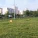 Кинологическая площадка в городе Москва