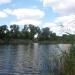 Пляж на озере Банное в городе Святогорск