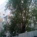 Филиал № 1 городской поликлиники № 45 в городе Москва