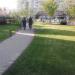 Газон в городе Москва