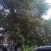 ул. Трофимова, 24 корпус 1 в городе Москва