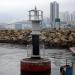 Shau Kei Wan Typhoon Shelter Dolphin E Light in Hong Kong city