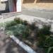 Цветник в городе Славянск