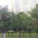 Яблоневый сад в городе Москва
