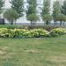 Клумба в городе Москва