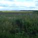Пинежское болото в городе Архангельск